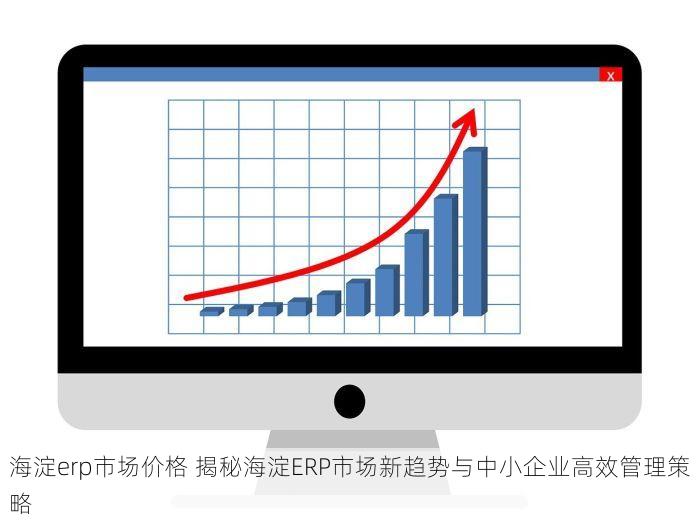 海淀erp市场价格 揭秘海淀ERP市场新趋势与中小企业高效管理策略