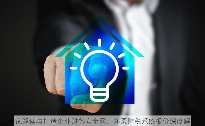 专家解读与打造企业财务安全网：怀柔财税系统报价深度解析