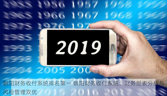 朝阳财务收付系统排名第一 朝阳财务收付系统：财务报表分析与风险管理双优