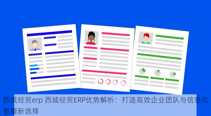 西城经贸erp 西城经贸ERP优势解析：打造高效企业团队与信息化管理新选择