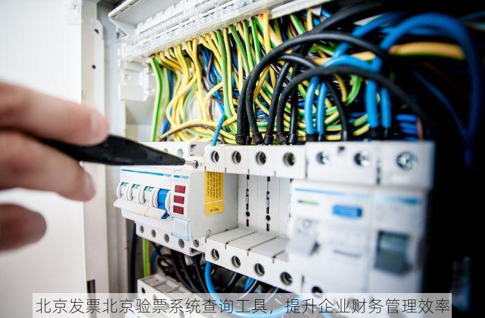顺义普通发票管理系统红字 顺义企业商家必读：普通发票管理系统红字功能助力提升竞争力与解决账单混乱难题