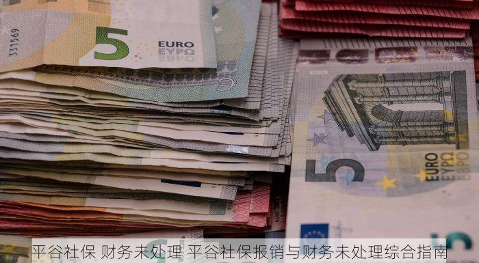 平谷社保 财务未处理 平谷社保报销与财务未处理综合指南
