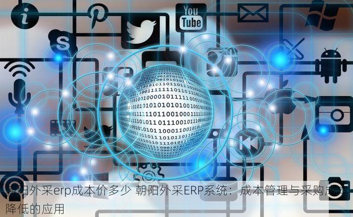 朝阳外采erp成本价多少 朝阳外采ERP系统：成本管理与采购成本降低的应用