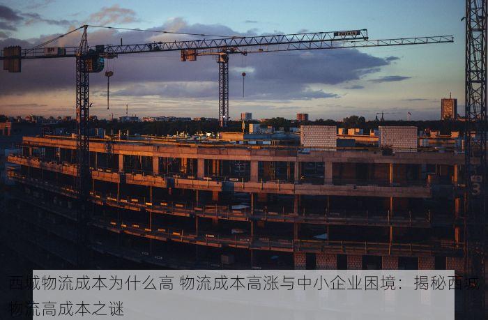 西城物流成本为什么高 物流成本高涨与中小企业困境：揭秘西城物流高成本之谜