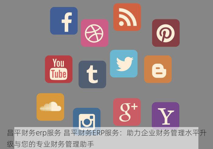 昌平财务erp服务 昌平财务ERP服务：助力企业财务管理水平升级与您的专业财务管理助手