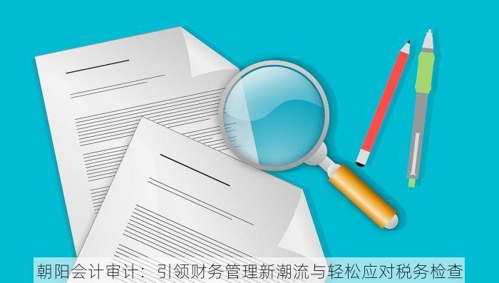 朝阳会计审计：引领财务管理新潮流与轻松应对税务检查