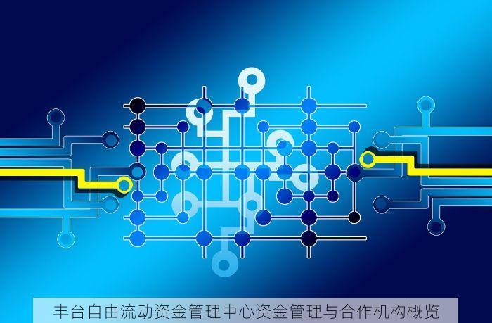 丰台自由流动资金管理中心资金管理与合作机构概览