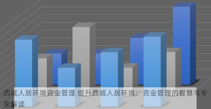 西城人居环境资金管理 提升西城人居环境：资金管理的智慧与专家解读