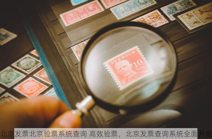 大兴养老金核算基数调整？应对方案与背后秘密揭秘