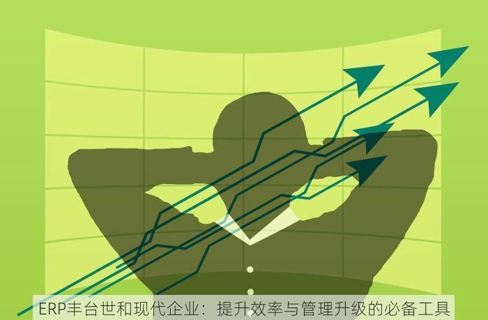 ERP丰台世和现代企业：提升效率与管理升级的必备工具