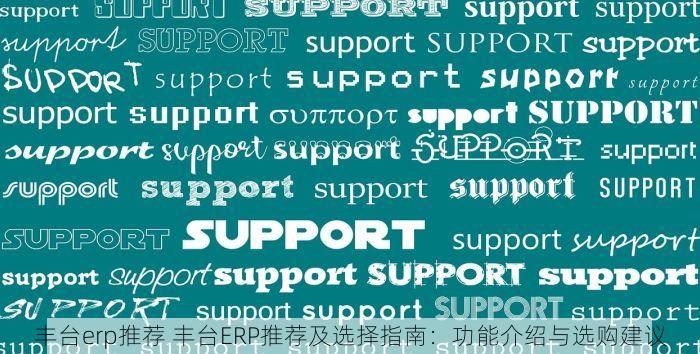 丰台erp推荐 丰台ERP推荐及选择指南：功能介绍与选购建议