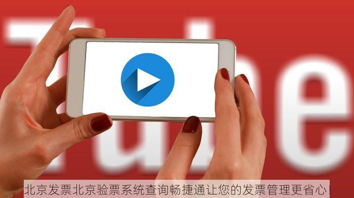 北京发票北京验票系统查询畅捷通让您的发票管理更省心！