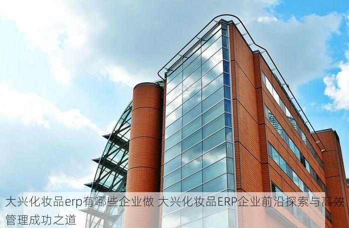 大兴化妆品erp有哪些企业做 大兴化妆品ERP企业前沿探索与高效管理成功之道
