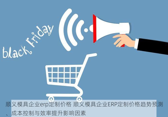顺义模具企业erp定制价格 顺义模具企业ERP定制价格趋势预测、成本控制与效率提升影响因素