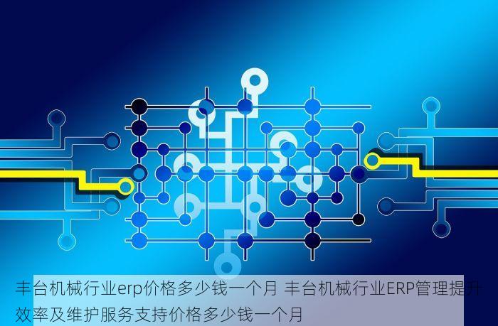 丰台机械行业erp价格多少钱一个月 丰台机械行业ERP管理提升效率及维护服务支持价格多少钱一个月
