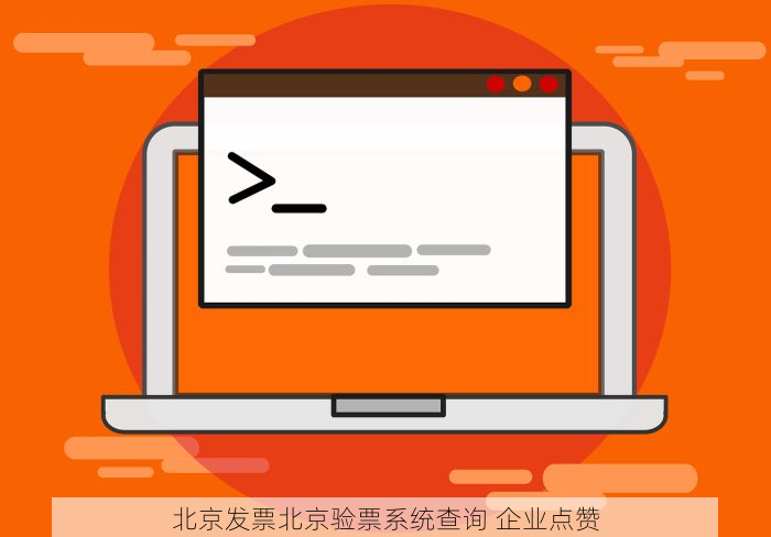 北京的发票北京系统里没有，北京的发票北京系统里没有怎么办