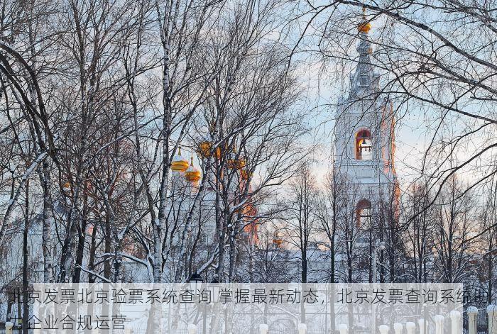 北京发票北京验票系统查询 掌握最新动态，北京发票查询系统助力企业合规运营
