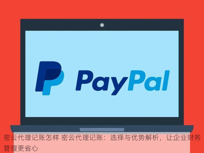西城财务报表在哪里更正 高效更正西城财务报表，轻松规避风险——全面指南解决财务错误