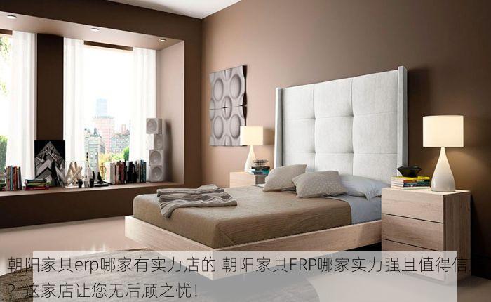 朝阳家具erp哪家有实力店的 朝阳家具ERP哪家实力强且值得信赖？这家店让您无后顾之忧！