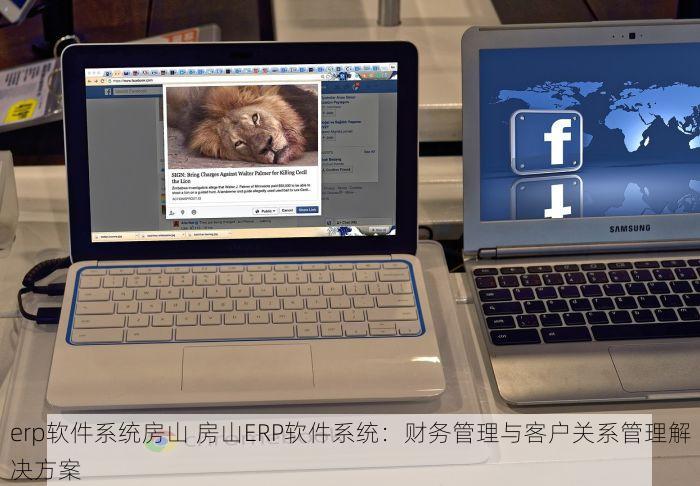 erp软件系统房山 房山ERP软件系统：财务管理与客户关系管理解决方案