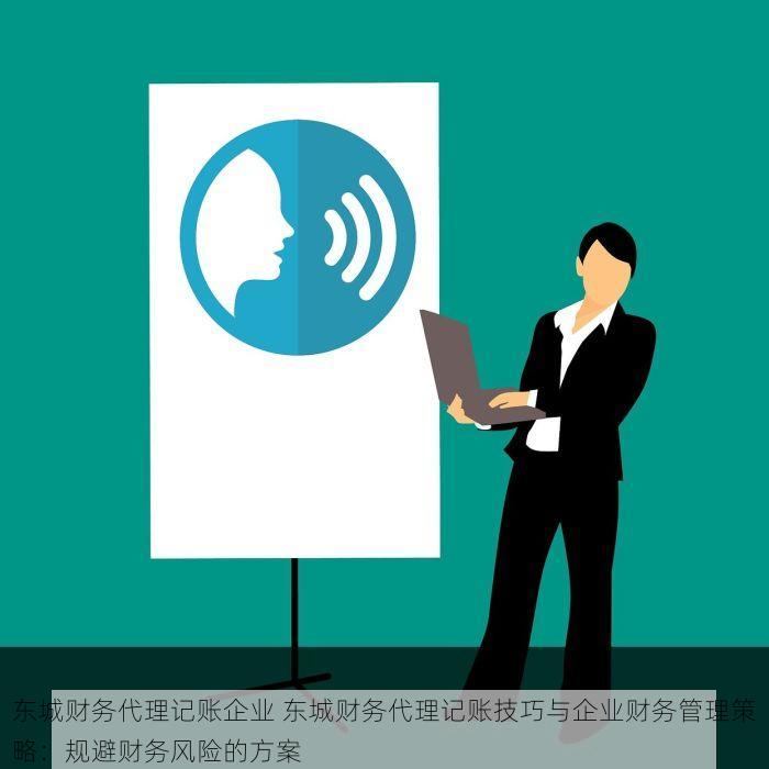 东城财务代理记账企业 东城财务代理记账技巧与企业财务管理策略：规避财务风险的方案