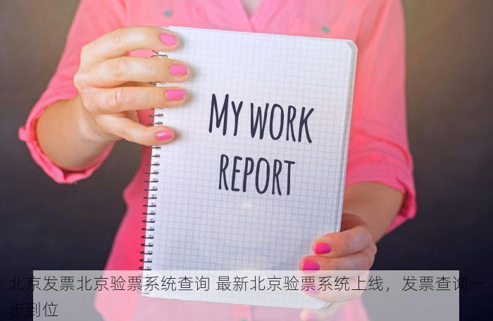 北京发票北京验票系统查询税务小白的高效神器！