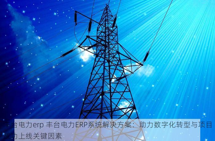 通州包装行业erp排车 通州包装企业借助ERP系统提升排车效率，挖掘利润增长新契机