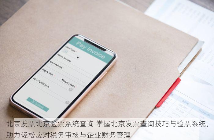 北京发票北京验票系统查询 掌握北京发票查询技巧与验票系统，助力轻松应对税务审核与企业财务管理