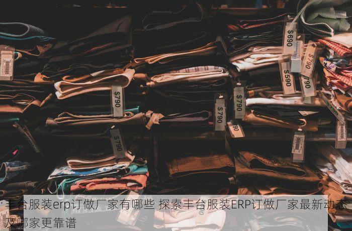 丰台服装erp订做厂家有哪些 探索丰台服装ERP订做厂家最新动态及哪家更靠谱