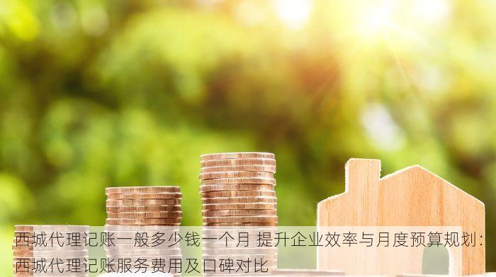 西城代理记账一般多少钱一个月 提升企业效率与月度预算规划：西城代理记账服务费用及口碑对比