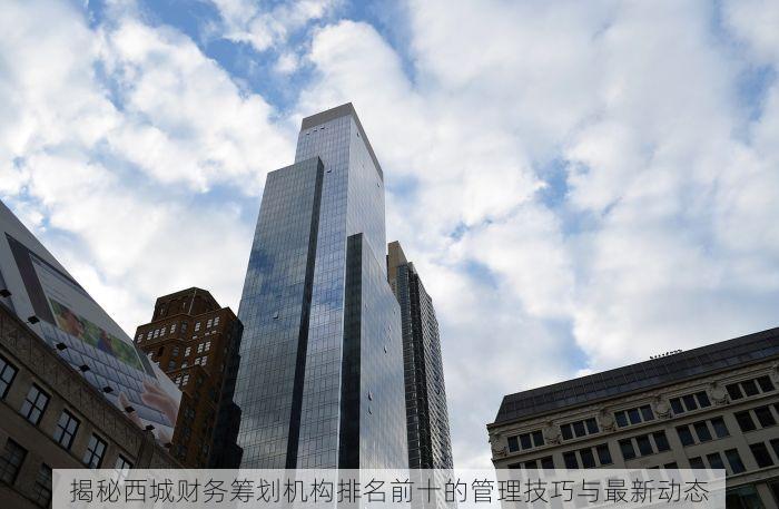 揭秘西城财务筹划机构排名前十的管理技巧与最新动态
