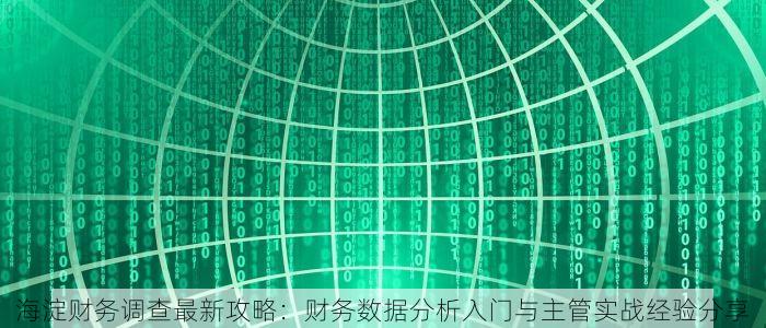 海淀财务调查最新攻略：财务数据分析入门与主管实战经验分享