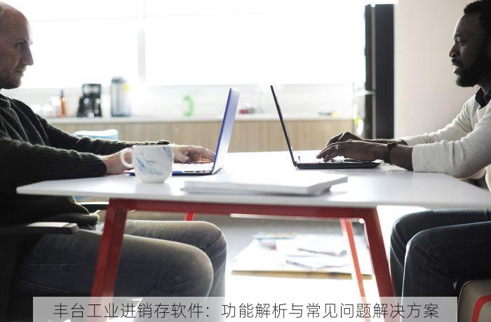 丰台工业进销存软件：功能解析与常见问题解决方案