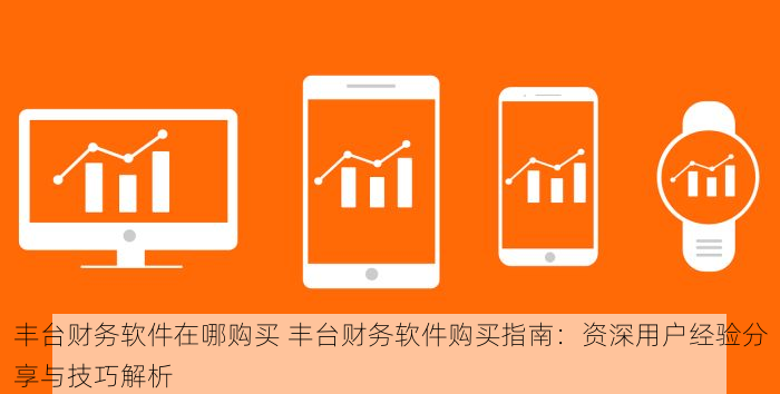 丰台财务软件在哪购买 丰台财务软件购买指南：资深用户经验分享与技巧解析