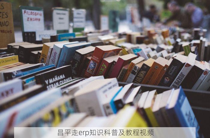 昌平走erp知识科普及教程视频