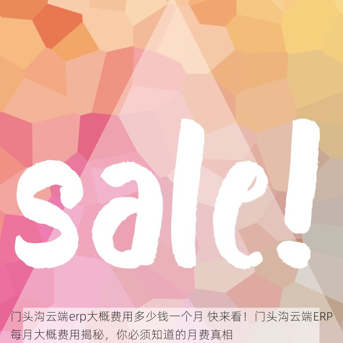 门头沟云端erp大概费用多少钱一个月 快来看！门头沟云端ERP每月大概费用揭秘，你必须知道的月费真相