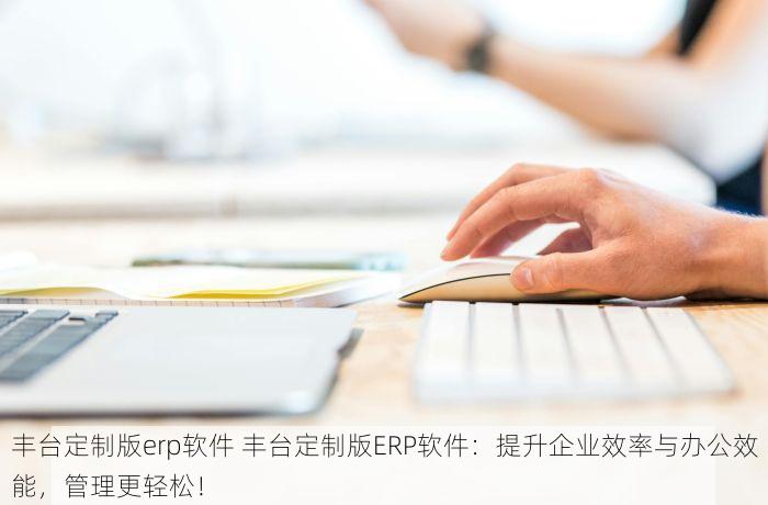 丰台定制版erp软件 丰台定制版ERP软件：提升企业效率与办公效能，管理更轻松！