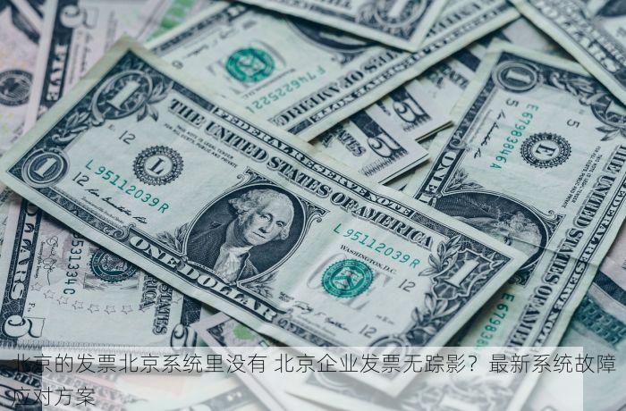 北京的发票北京系统里没有？教你轻松查询和打印电子发票