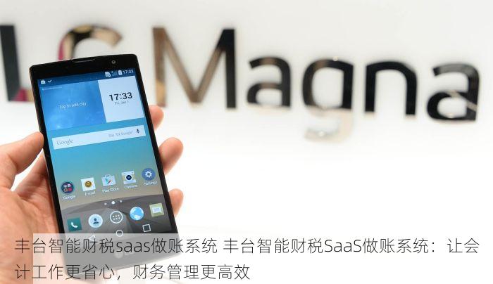 北京发票北京验票系统查询 高效办公：北京发票查询系统入口直达，提升工作效率
