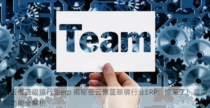 密云傲蓝眼镜行业erp 揭秘密云傲蓝眼镜行业ERP：惊呆了！超实用功能全解析