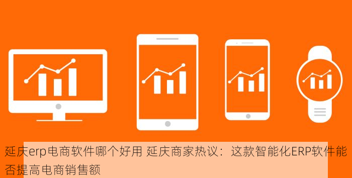 延庆erp电商软件哪个好用 延庆商家热议：这款智能化ERP软件能否提高电商销售额