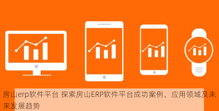 房山erp软件平台 探索房山ERP软件平台成功案例、应用领域及未来发展趋势