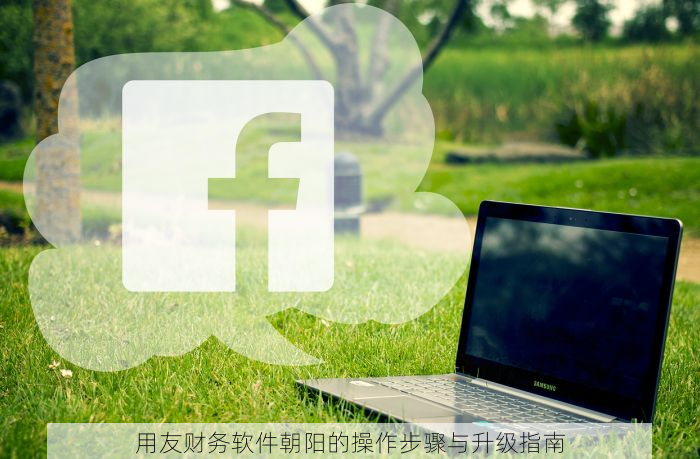 用友财务软件朝阳的操作步骤与升级指南