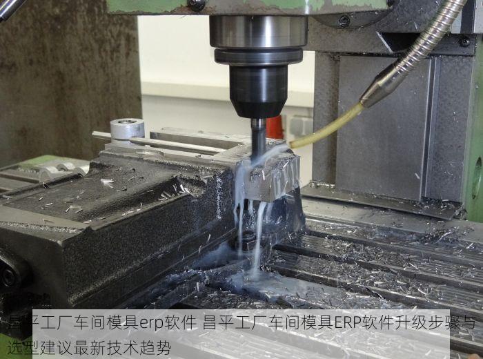 北京的发票北京系统里没有 北京发票系统问题解决方案：专业指导找回与即时帮助应对延迟影响