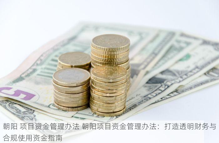 朝阳 项目资金管理办法 朝阳项目资金管理办法：打造透明财务与合规使用资金指南