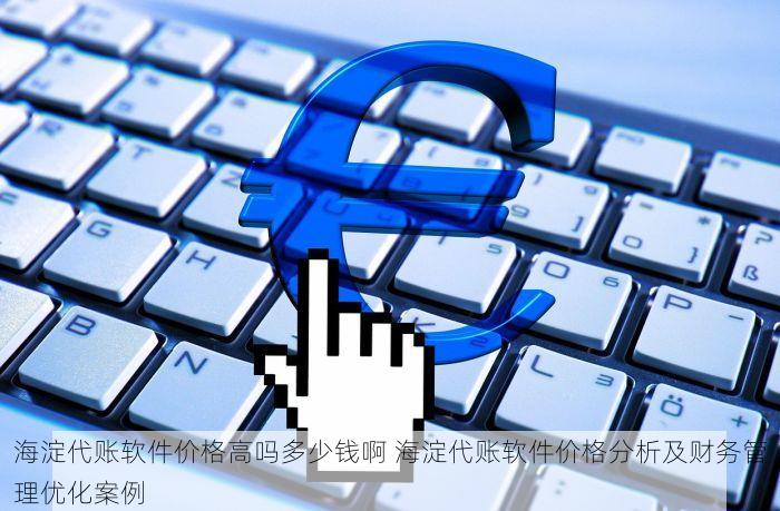 海淀代账软件价格高吗多少钱啊 海淀代账软件价格分析及财务管理优化案例