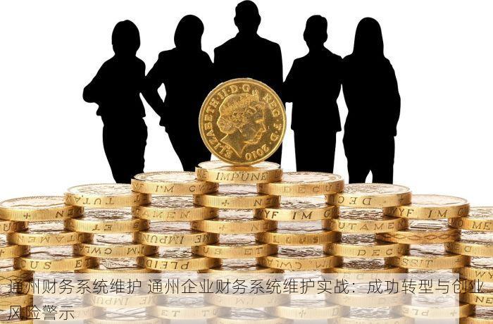 通州财务系统维护 通州企业财务系统维护实战：成功转型与创业风险警示