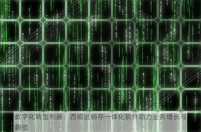 企业数字化转型利器：西城进销存一体化软件助力业务增长与销售业绩翻倍