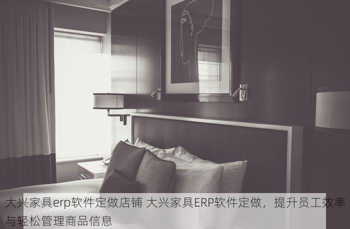 大兴家具erp软件定做店铺 大兴家具ERP软件定做，提升员工效率与轻松管理商品信息