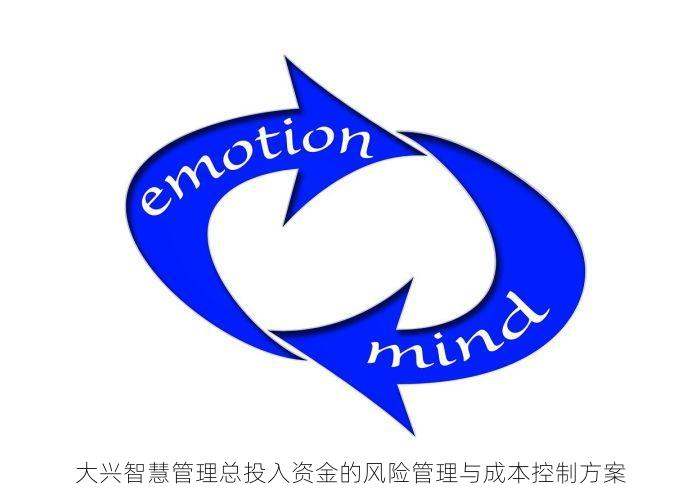 大兴智慧管理总投入资金的风险管理与成本控制方案